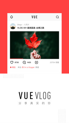 vue vlog下载app