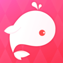 魚丸星球app下載最新版